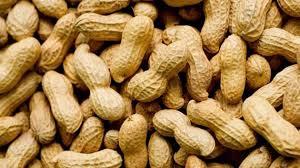 Brown Healthy And High Protein Ground Nuts