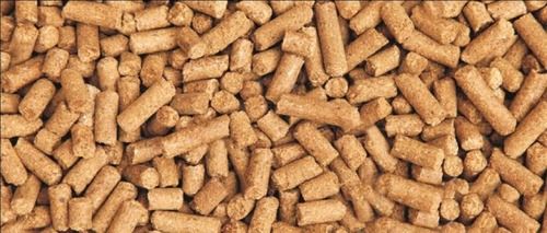 Rich Protein Cattle Feed