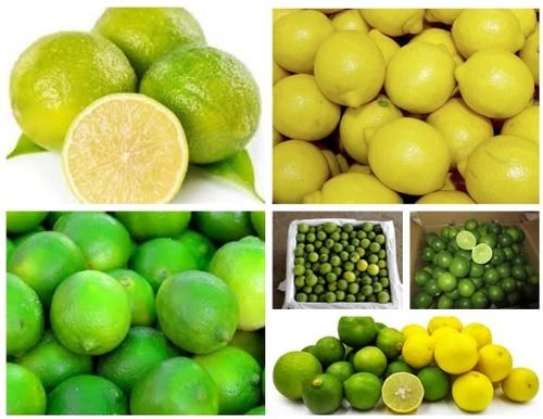 Natural and Fresh Lemons