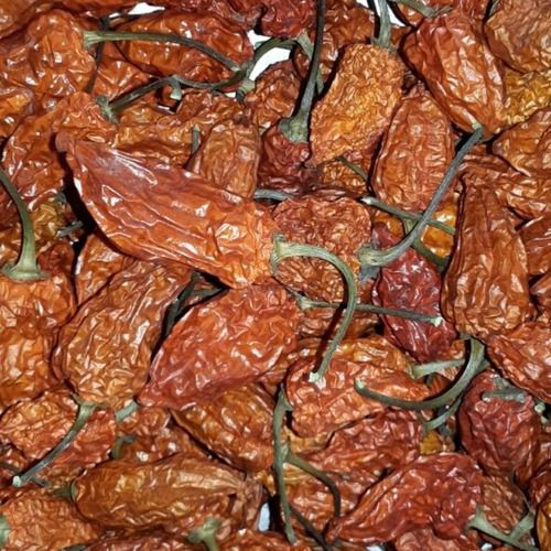 Brown Natural Dried Bhut Jolokia