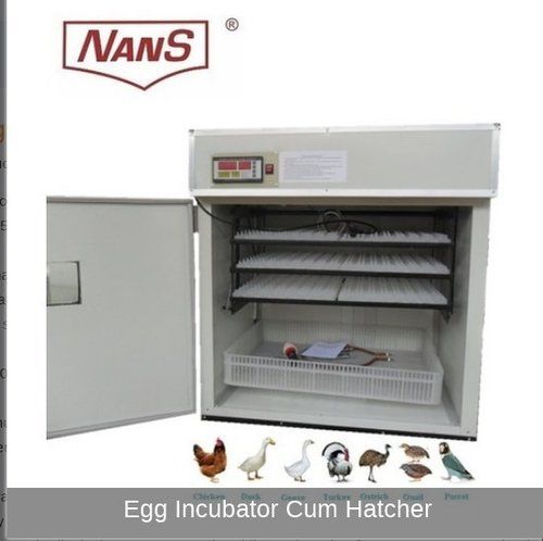 Gray Egg Incubator Cum Hatcher