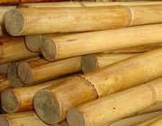 Rattan Poles