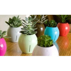 Multicolor Round Plant Pots