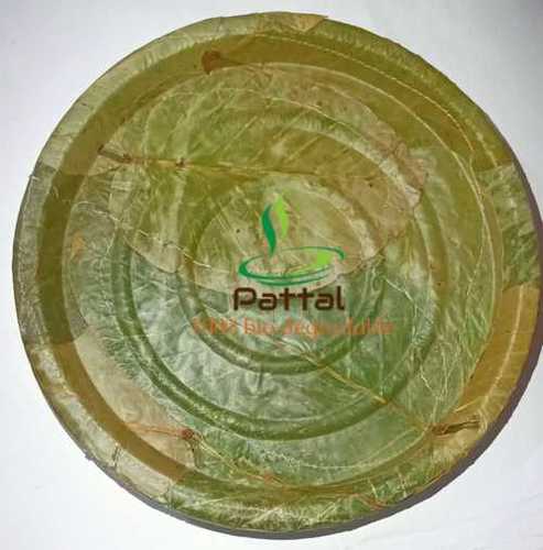 Green Eco Friendly Round Leaf Plate