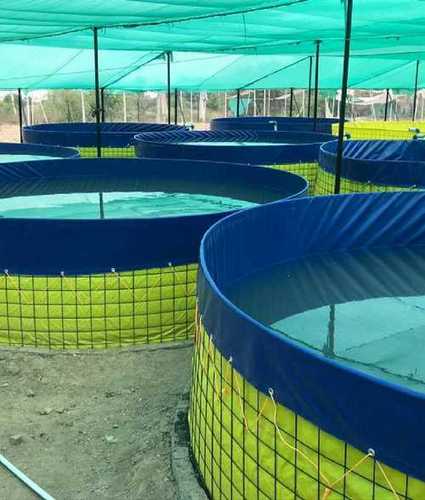Biofloc Aquaculture Fish Faming Tank