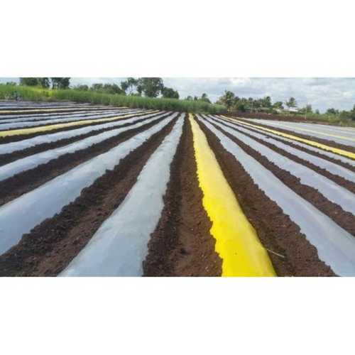 Smooth Surface Mulching Film