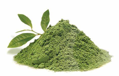 Dried Green Tea Powder