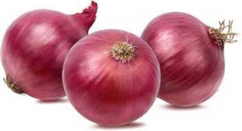 Organic Red Onions 