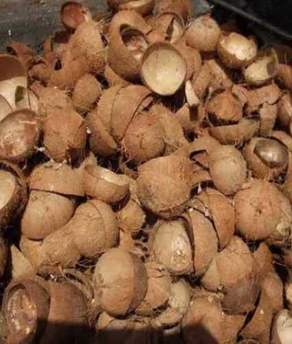 Brown Natural Coconut Shells