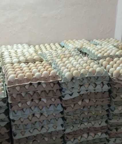 Fresh Country Chicken Egg Egg Size: Standard