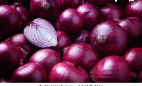 Preserved Natural Fresh Red Onion