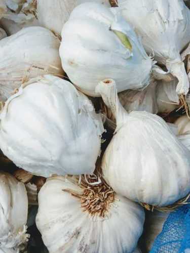 Natural White Fresh Garlic