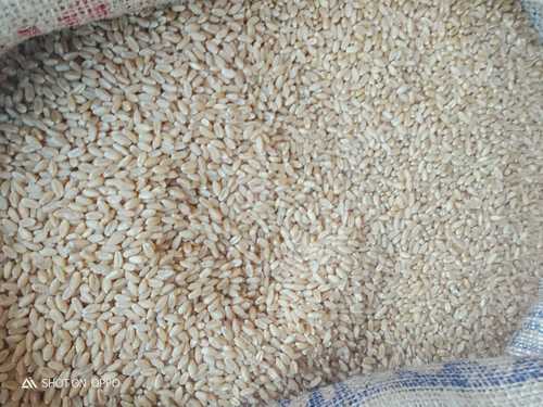 Light Brown High Protein Natural Wheat