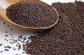 Brown Color Mustard Seeds