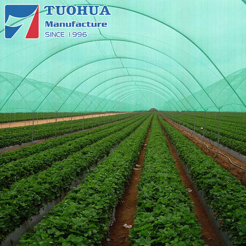 High Quality Hdpe Greenhouse Shade Net (Green) Film Length: 50