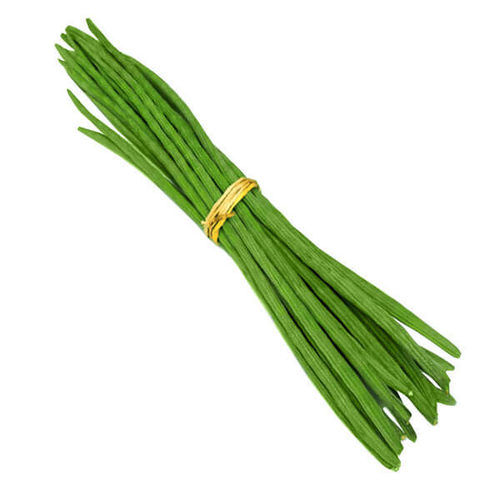 Fresh Green Drumstick (Moringa)