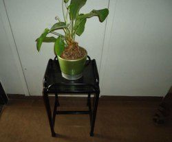 Mild Steel Flower Pot Stand
