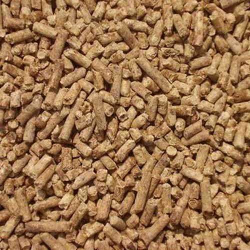 Yellow Impurities Free Cattle Feed