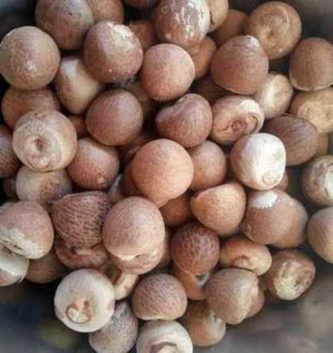 Unflavoured Brown Areca Nut