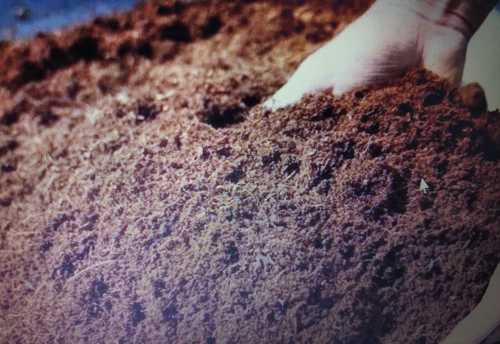 Eco-Friendly Coco Coir Peat Powder