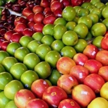 Fresh Green And Red Apples