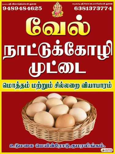 Healthy Country Chicken Egg