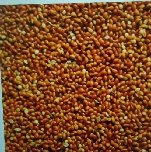 Common High Grade Red Millets