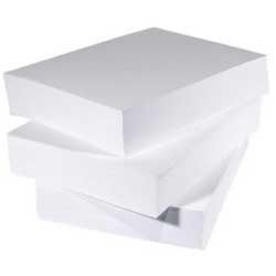 500 Bindals White Papers