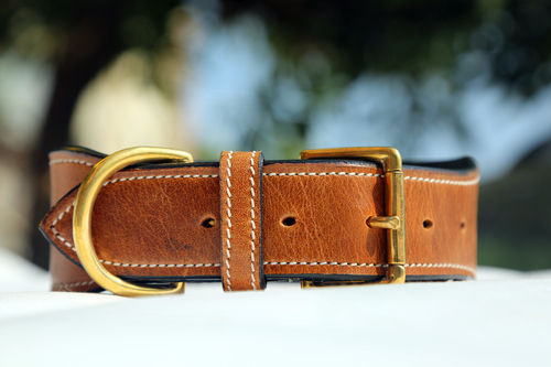 Brown Leather Dog Collar - Manual Use, New Condition | Optimum Finish, Safe To Use, Elegant Look, Attractive Pattern