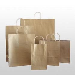 Disposable Brown Plain Paper Bags