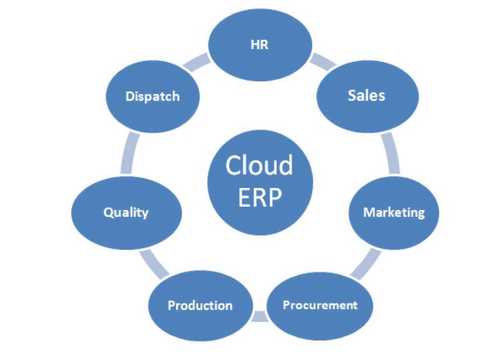 ERP सॉफ़्टवेयर सेवा प्रदाता