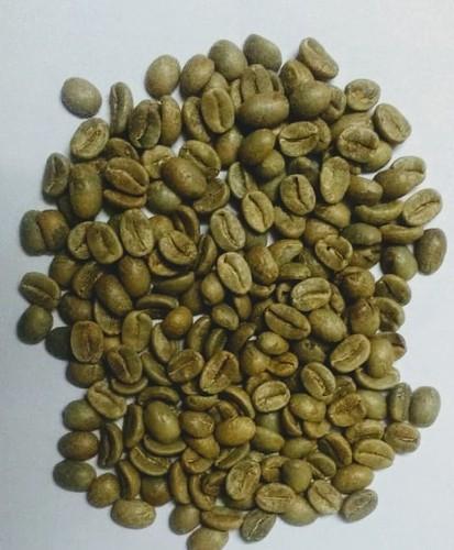 Green Color Coffee Beans