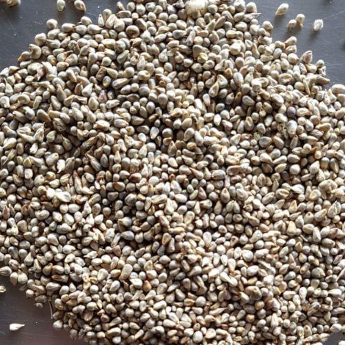 High Protein Organic Bajra