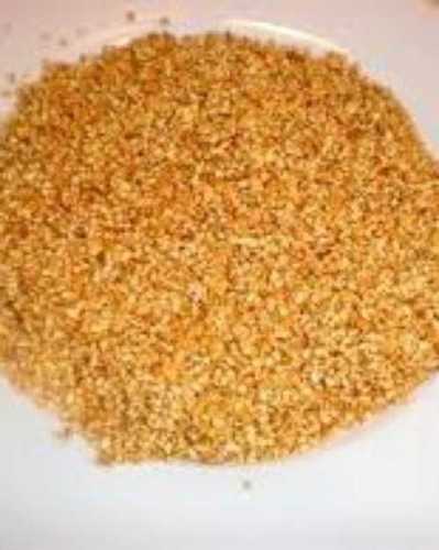 Indian Wheat Yellow Dalia