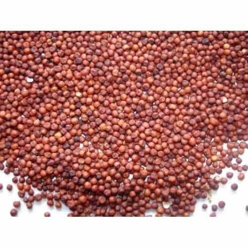 Natural Ragi Millet With High Protein