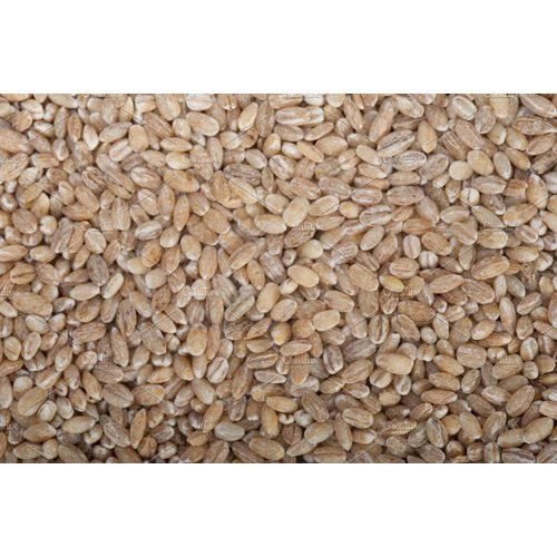Whole Brown Wheat Grains