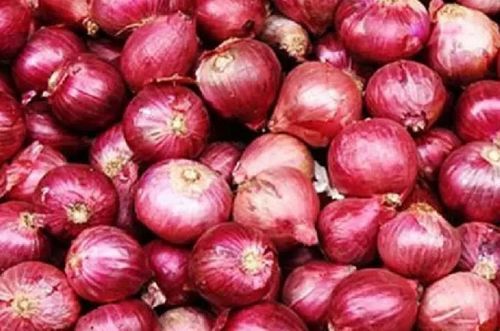 Fresh Red Onion