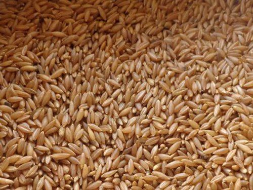 Brown High In Protein Bamboo Rice