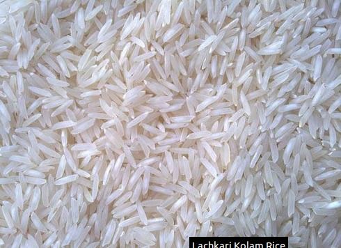 Lachkari Kolam Non Basmati Rice - 20kg Medium-Grain White Rice, Soft Texture , Dried Product with Under 5% Broken