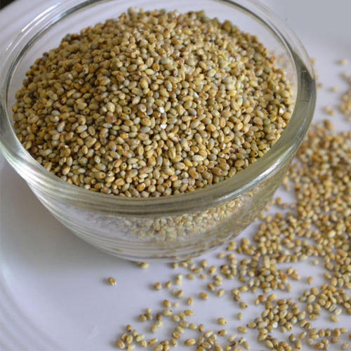 Common Natural Country Pearl Millet