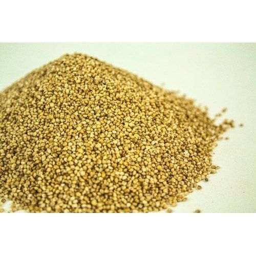 Dried Natural Organic Kodo Millet