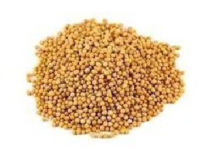 Yellow Mustard Seeds, 50gm