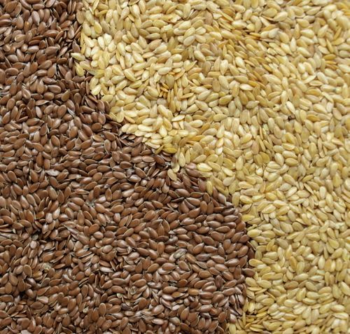 Organic Grade A Brown Flax Seeds