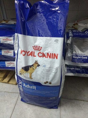 fotografie gitaar Smeltend Royal Canin Maxi Adult 15 Kg Dog Food Efficacy: Promote Healthy at Best  Price in Pune | Baby Meals On Point Ltd