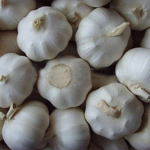 Farm Fresh White Garlic