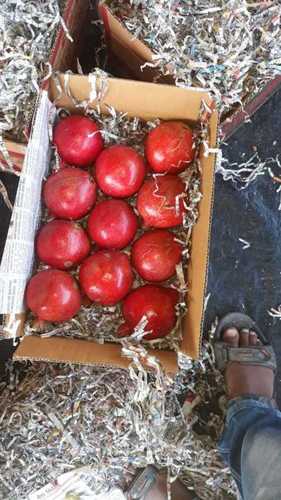 pomegranates