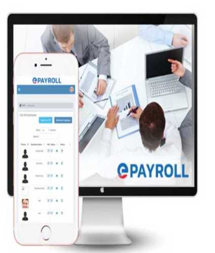 Payroll Management System Service By E Software Solutions