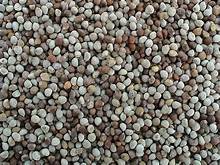 Pure Organic Perilla Seed
