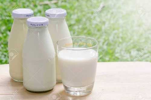 White Rich Taste Fresh Cow Milk