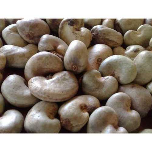 White Organic Fresh Cashew Nut